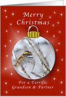 Merry Christmas for a Grandson and Partner, Sparrow Ornament card