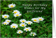 Happy Birthday Girlfriend, Daisies in the Sun card