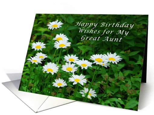 Happy Birthday Great Aunt, Daisies in the Sun card (1291708)