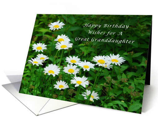 Happy Birthday Great Granddaughter, Daisies in the Sun card (1291714)