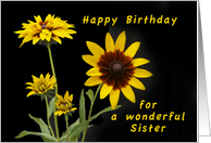 Happy Birthday Sister, Rudbeckia flowers card