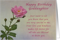 Happy Birthday Goddaughter, Simple Pink rose card