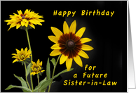 Happy Birthday Future Sister-in-Law, Rudbeckia flowers card