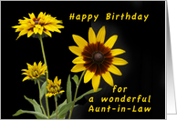 Happy Birthday Aunt-in-Law, Rudbeckia flowers card