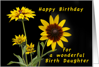 Happy Birthday Birth Daughter, Rudbeckia flowers card
