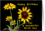 Happy Birthday Birth...