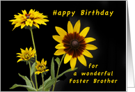 Happy Birthday Foster Brother, Rudbeckia flowers card