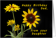 Happy Birthday Dad,...