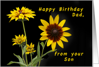 Happy Birthday Dad, From Your Son, Rudbeckia flowers card