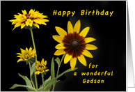 Happy Birthday Godson, Rudbeckia flowers card