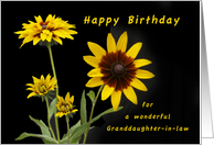 Happy Birthday Granddaughter-in-Law, Rudbeckia flowers card