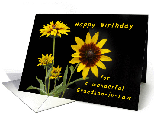 Happy Birthday Grandson-in-law, Rudbeckia flowers card (1295448)