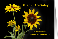 Happy Birthday Great Grandfather, Rudbeckia flowers card