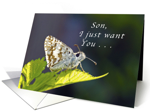 Son, get well soon, grizzled butterfly card (1316790)