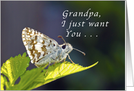 Grandpa, get well soon, grizzled butterfly card