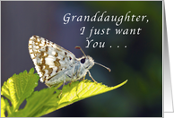 Granddaughter, get well soon, grizzled butterfly card
