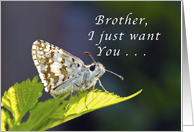 Brother, Just Want You to Get Well Soon, grizzled butterfly card