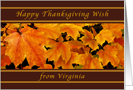 Happy Thanksgiving Wishes from Virginia, Maple Leaves card