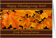 Happy Thanksgiving Wishes from Pennsylvania, Maple Leaves card