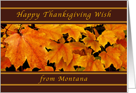 Happy Thanksgiving Wishes from Montana, Maple Leaves card