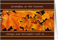 Grandpa, November Birthday, Maple Leaves card