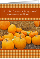 November, Birthday Card, Pumpkins and Gourds on Straw Bales card