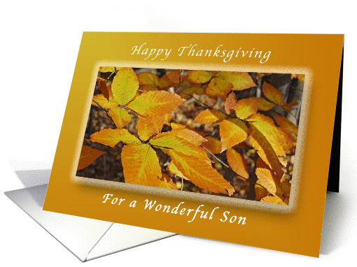 Happy Thanksgiving for a Son, Autumn Beech Leaves card (1319428)