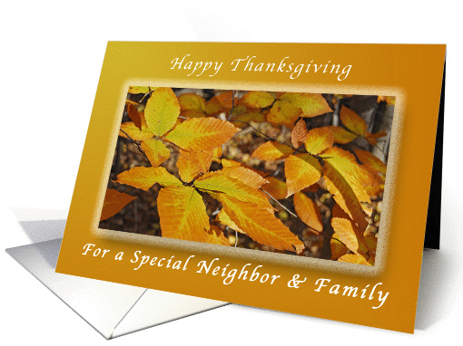 Thanksgiving informational text