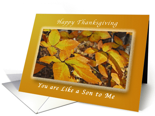 Happy Thanksgiving for Someone Who is Like Son, Autumn... (1319468)