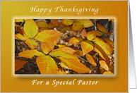 Happy Thanksgiving for a Pastor, Autumn Beech Leaves card