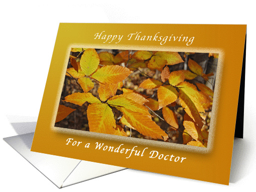 Happy Thanksgiving, For a Doctor, Autumn Beech Leaves card (1319542)