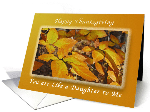 Happy Thanksgiving, Like a Daughter to Me, Autumn Beech Leaves card