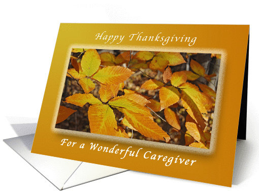 Happy Thanksgiving, For a Caregiver, Autumn Beech Leaves card
