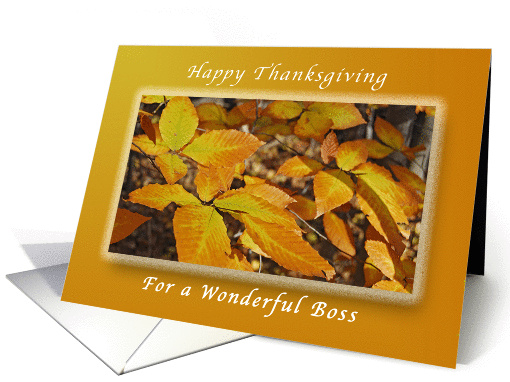 Happy Thanksgiving, For a Boss, Autumn Beech Leaves card (1319572)