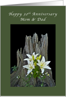 Mom & Dad Happy 30th Anniversary, Stump with Delicate Lilies card