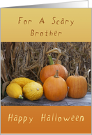 Happy Halloween, For a Scary Brother, Pumpkins & Squash card