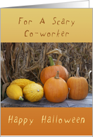 Happy Halloween, For A Scary Co-worker, Pumpkins & Squash card