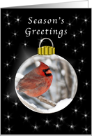 Ornament Season’s Greeting Cardinal with Black Background card