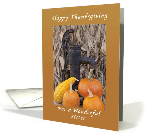 Thanksgiving Day for a Sister, Bountiful Supply card (1329588)