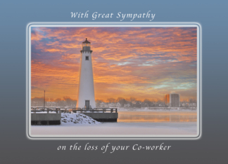 Sympathy on the Loss of Your Co-worker, Detroit Light