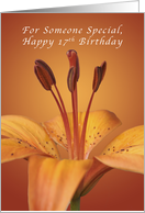 Happy 17th Birthday for Someone Special, Orange daylily card