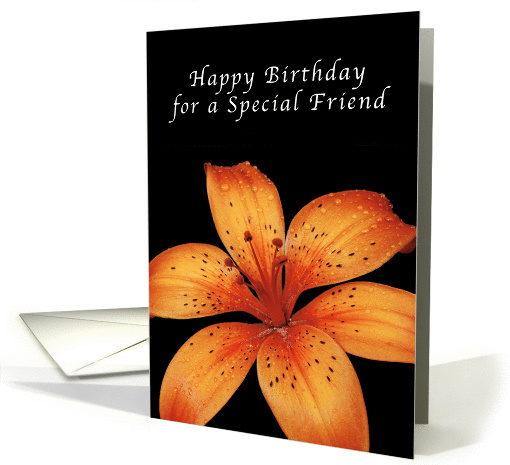 Happy Birthday for a Special Friend, Orange Lily After a Rain card