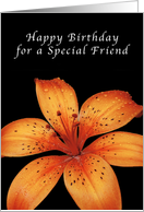 Happy Birthday for a Special Friend, Orange Lily After a Rain card