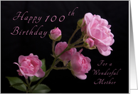 Happy 100th Birthday for Mother, Pink roses card