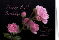 Happy 85th Birthday for a Mother, Pink roses card