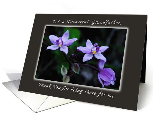 Thank You for a Grandfather, Wild Purple Orchids card (1335886)