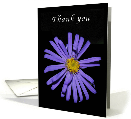 Thank You Purple Aster card (1337562)