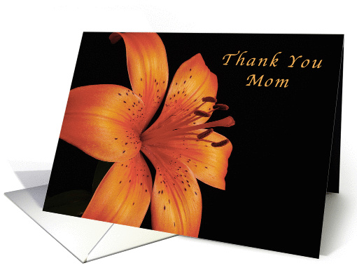 Thank You Mom, Orange Lily card (1337564)