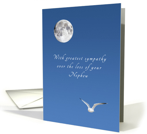 Sympathy on the Loss of Your Nephew, Bird and Moon card (1346828)