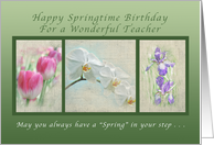 Happy Springtime Birthday for a Teacher, Flower Collection card